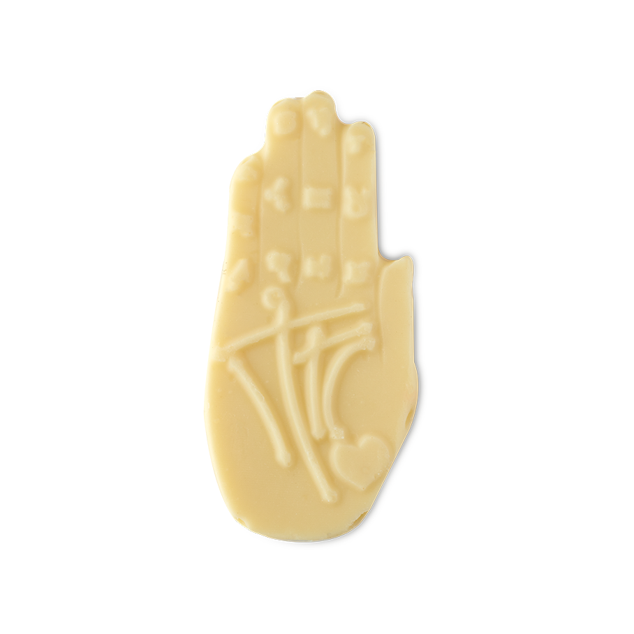 Palm Reader