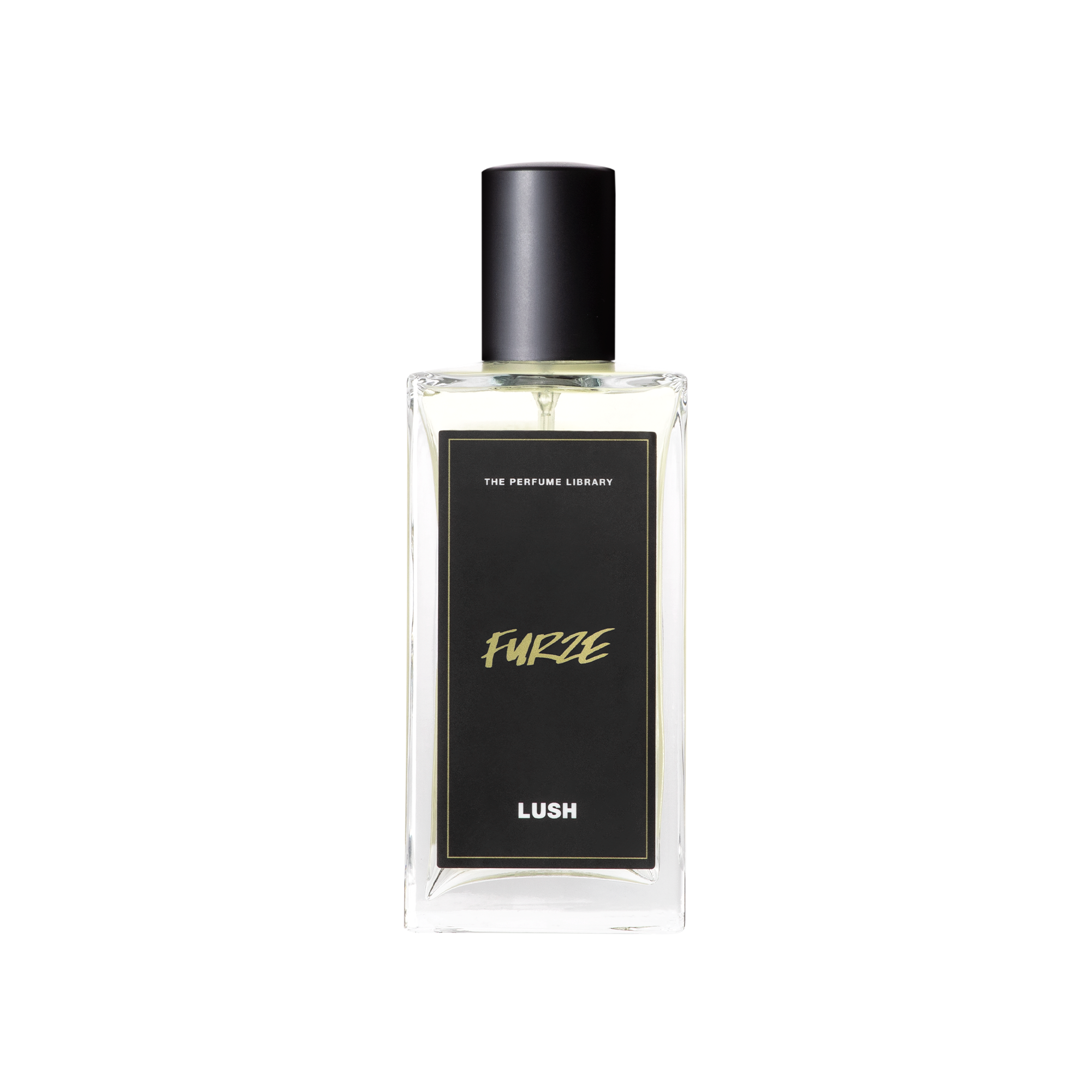Furze