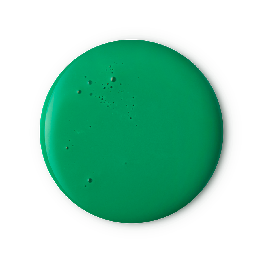 Lord Of Misrule